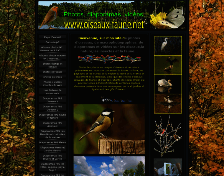 Oiseaux-faune.net thumbnail