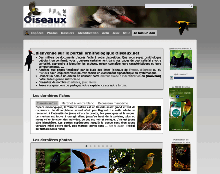 Oiseaux.net thumbnail