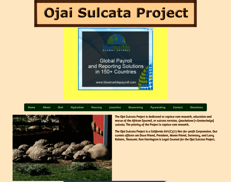 Ojaisulcataproject.org thumbnail