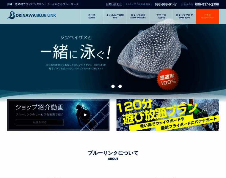 Okinawa-bluelink.com thumbnail