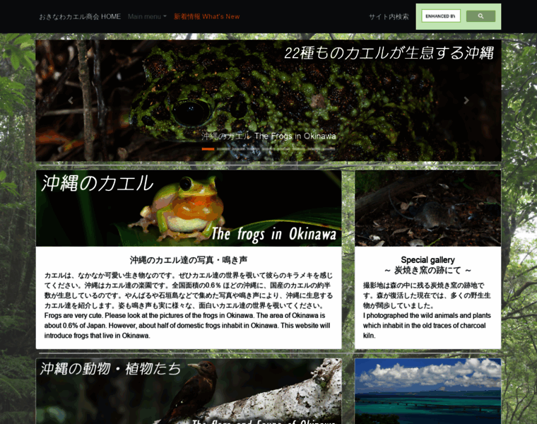 Okinawa-kaeru.net thumbnail