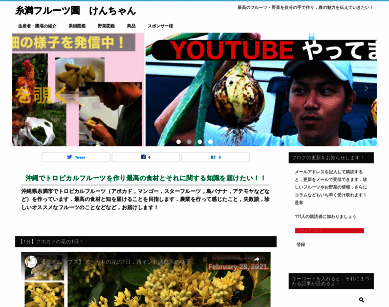 Okinawan-avocado.com thumbnail