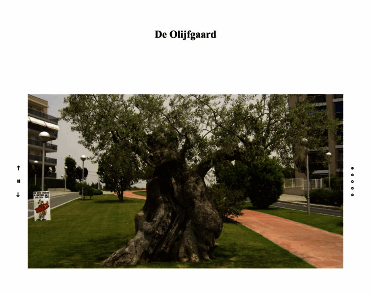Oldandspecialtrees.be thumbnail