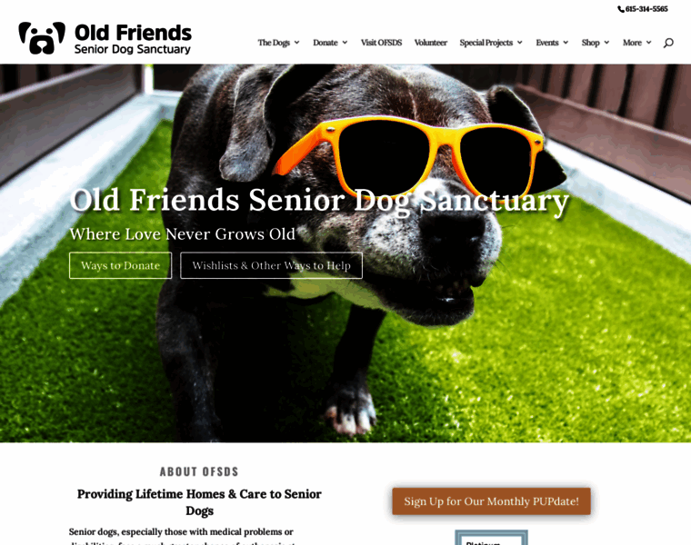 Oldfriendsseniordogs.com thumbnail