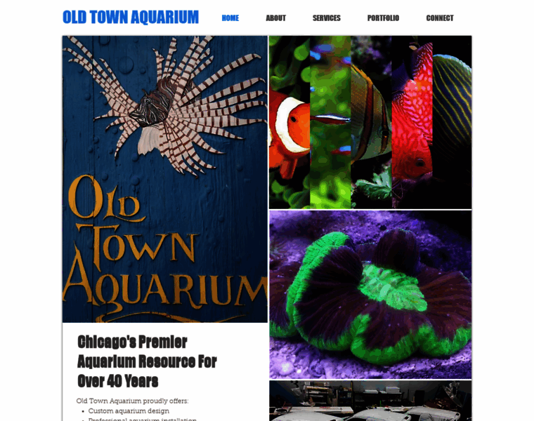 Oldtownaquarium.com thumbnail