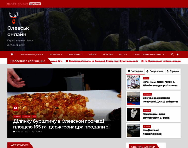 Olevsk.online thumbnail
