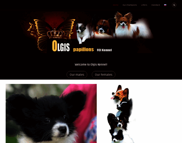 Olgis.org.ua thumbnail