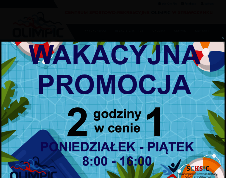 Olimpicstrawczyn.pl thumbnail