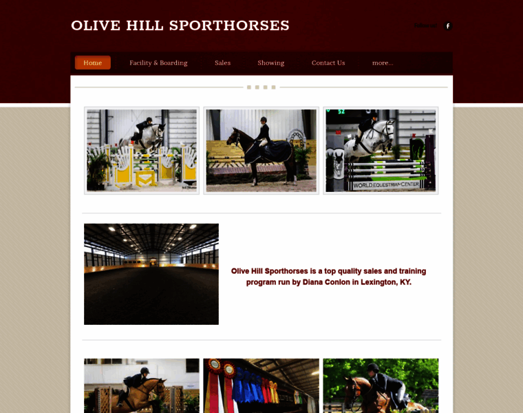 Olivehillsporthorses.com thumbnail