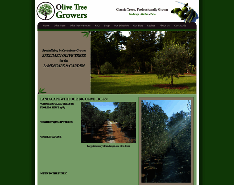 Olivetreegrowers.com thumbnail