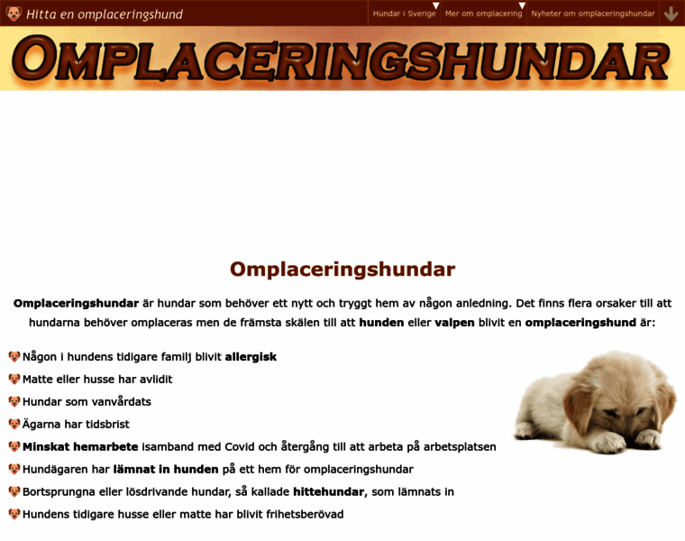 Omplaceringshundar.se thumbnail