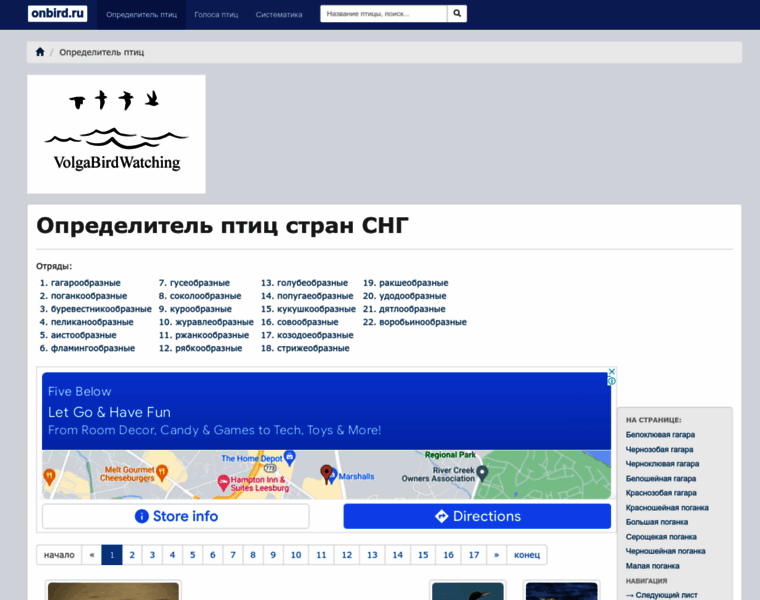 Onbird.ru thumbnail