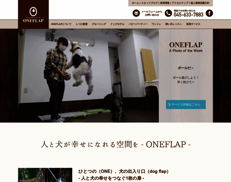 Oneflap.co.jp thumbnail