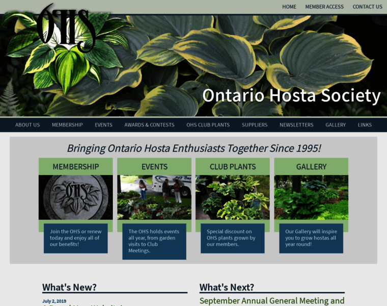 Ontariohostasociety.com thumbnail