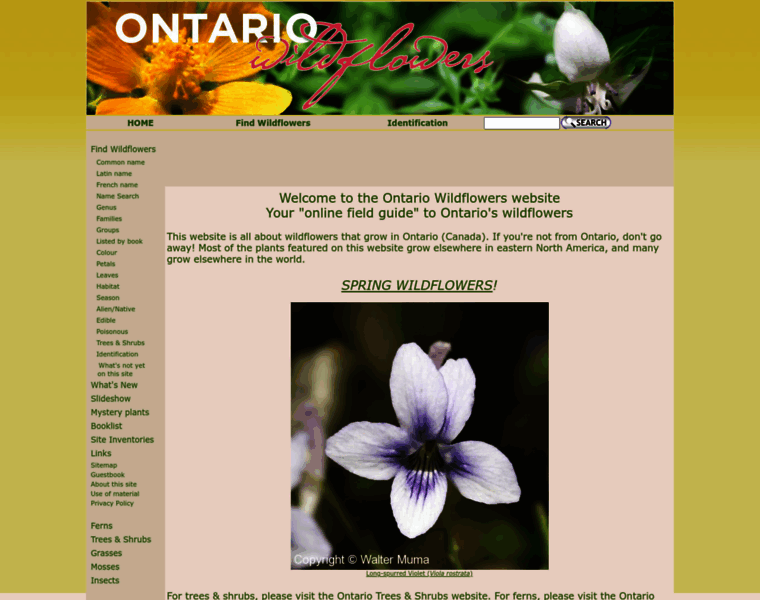 Ontariowildflowers.com thumbnail