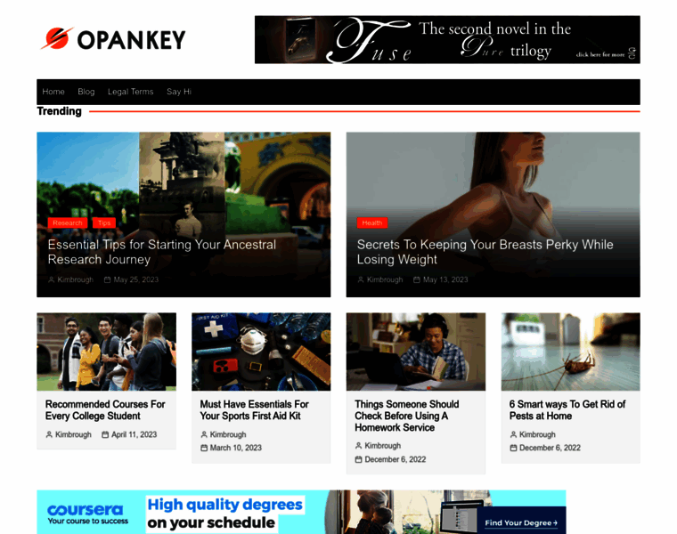 Opankey.com thumbnail