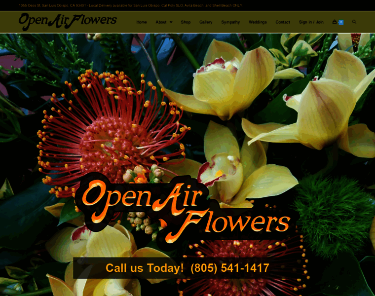 Openairflowersslo.com thumbnail