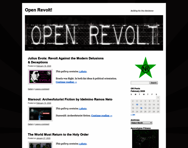 Openrevolt.info thumbnail