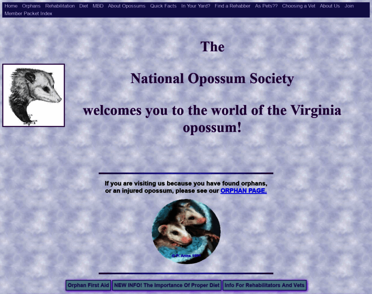 Opossum.org thumbnail