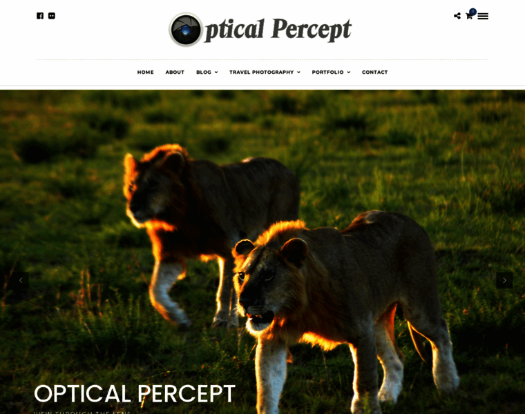 Opticalpercept.com thumbnail