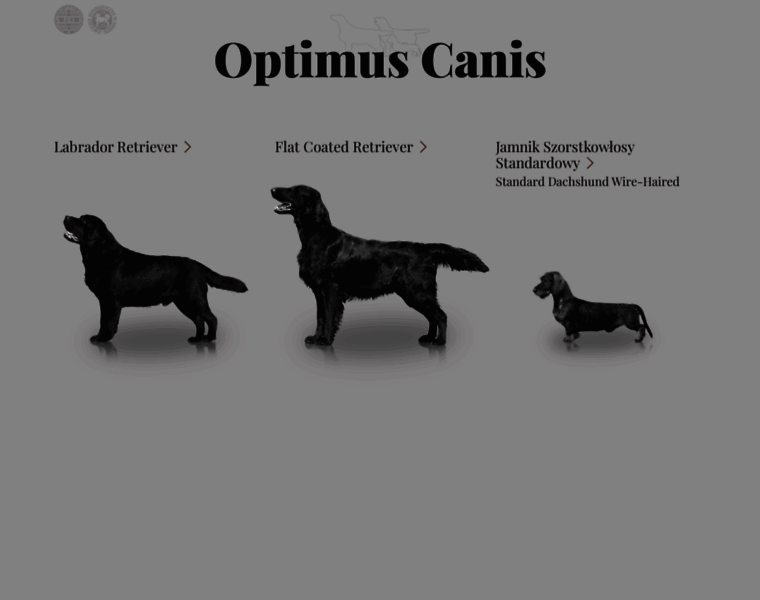 Optimus-canis.pl thumbnail