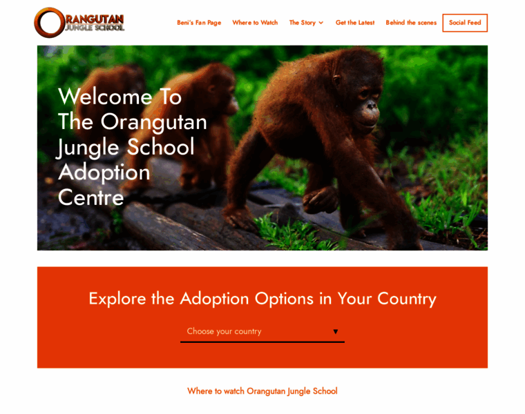 Orangutanjungleschool.com thumbnail