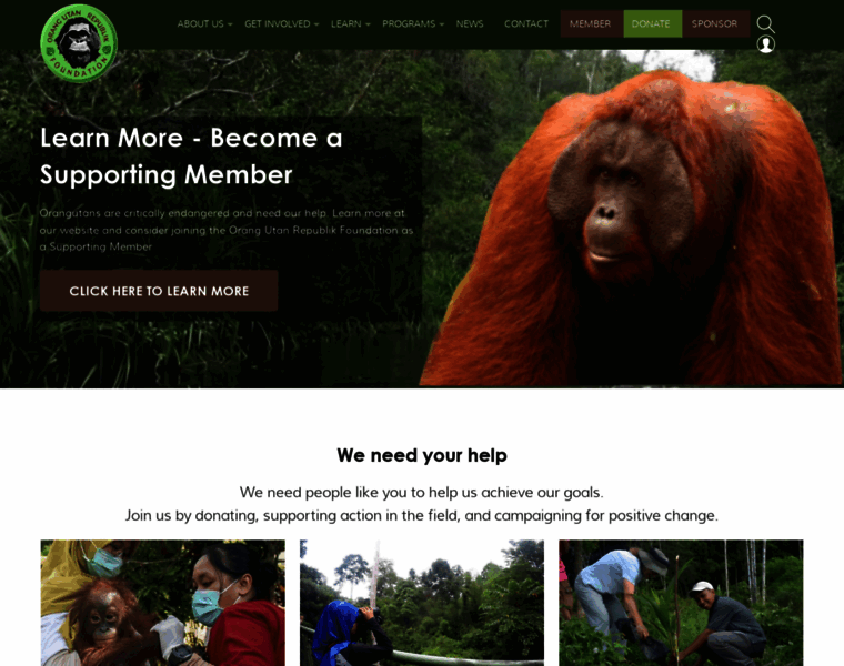 Orangutanrepublik.org thumbnail