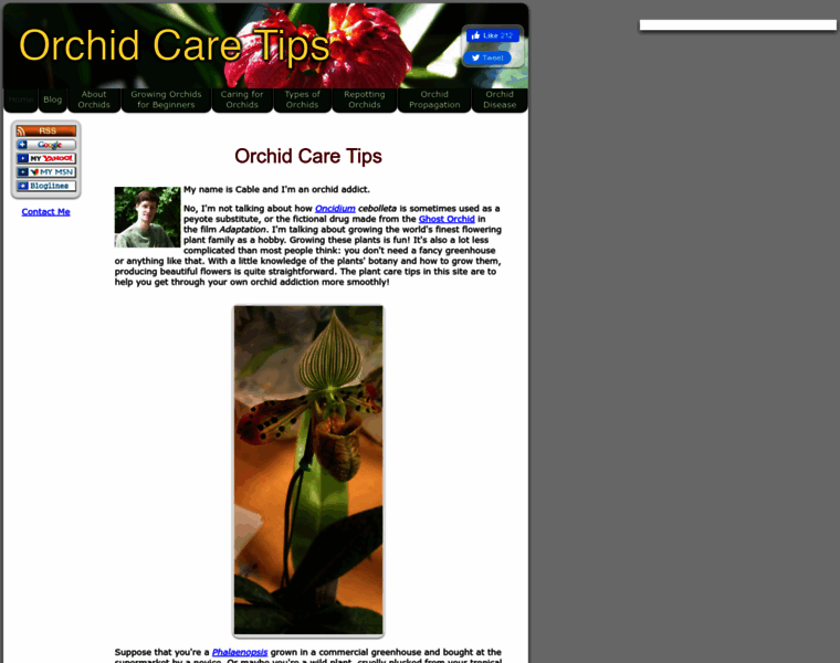 Orchid-care-tips.com thumbnail