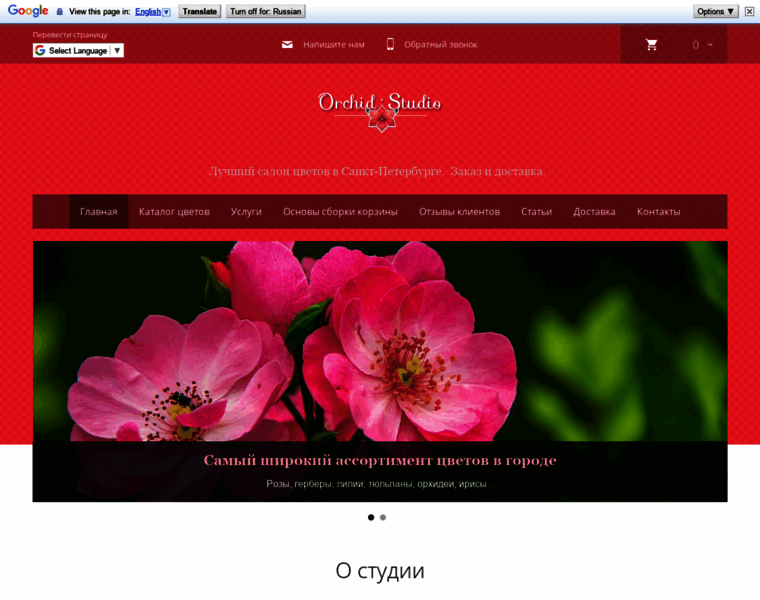 Orchid-studio.ru thumbnail
