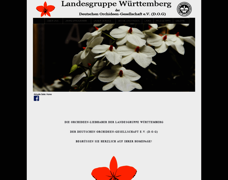 Orchidee-wuerttemberg.de thumbnail