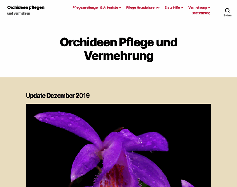 Orchideen-pflege.eu thumbnail
