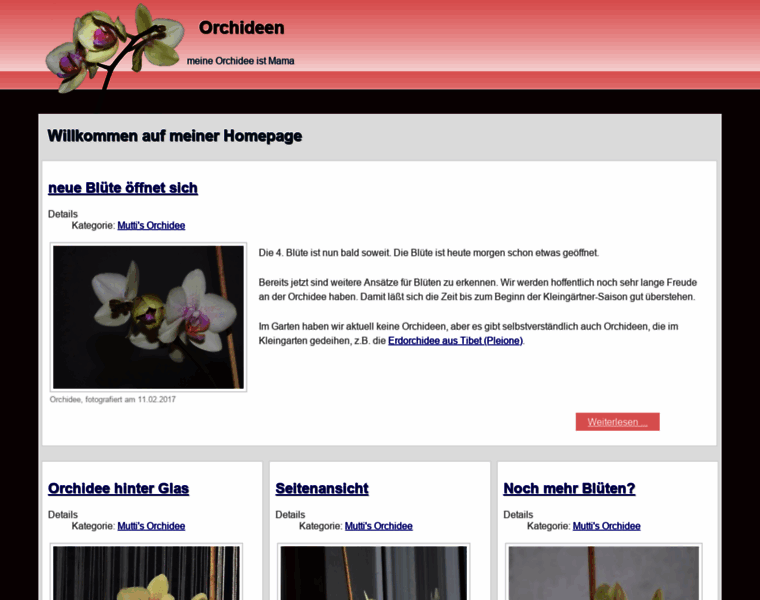 Orchideen.major-online.de thumbnail