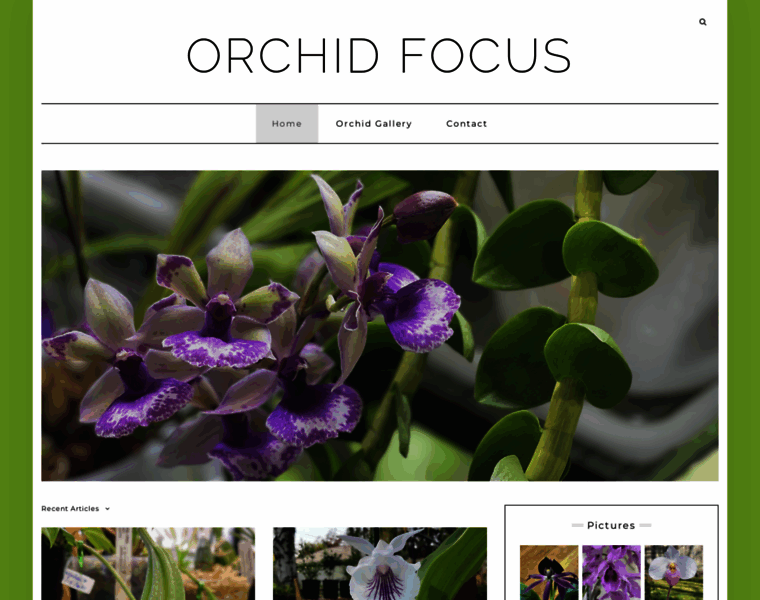 Orchidfocus.com thumbnail