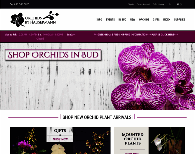Orchidsbyhausermann.com thumbnail
