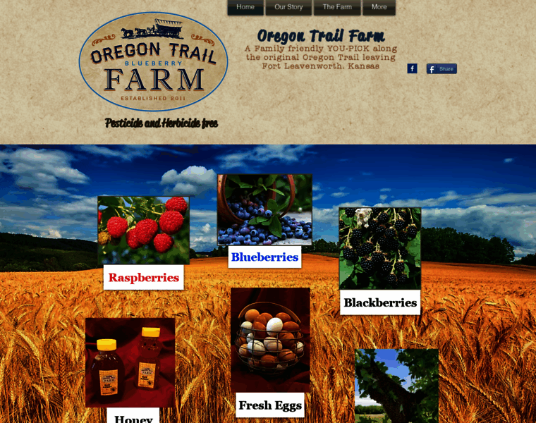 Oregontrailblueberryfarm.com thumbnail