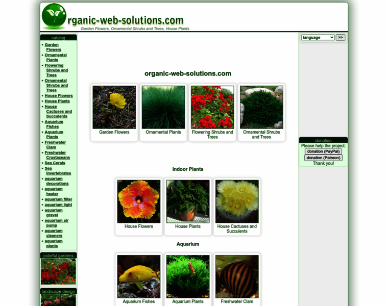 Organic-web-solutions.com thumbnail