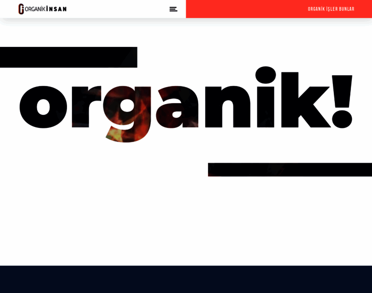 Organikinsan.com thumbnail