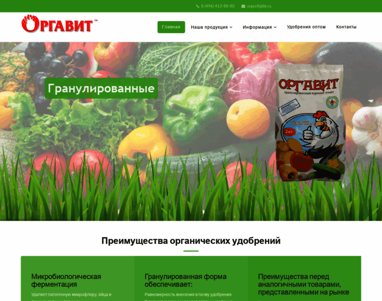 Orgavit.ru thumbnail