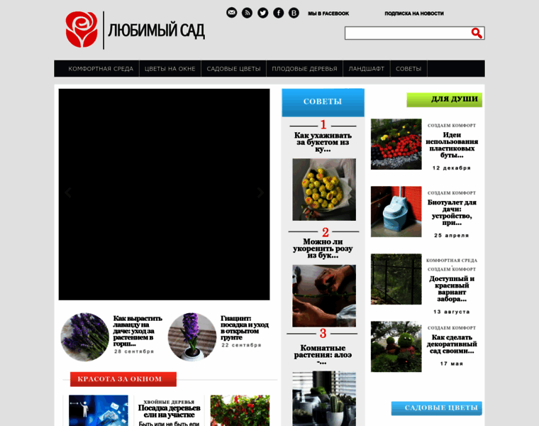 Orhide.ru thumbnail