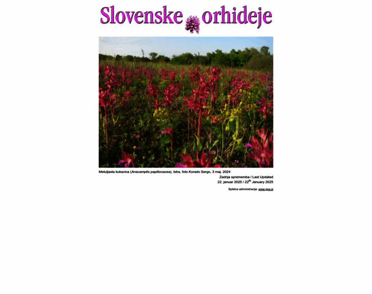 Orhideje.si thumbnail
