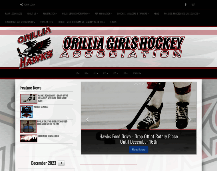 Orilliagirlshockey.com thumbnail