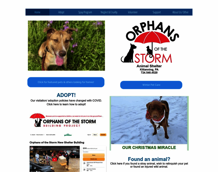 Orphansofthestorm-pa.org thumbnail