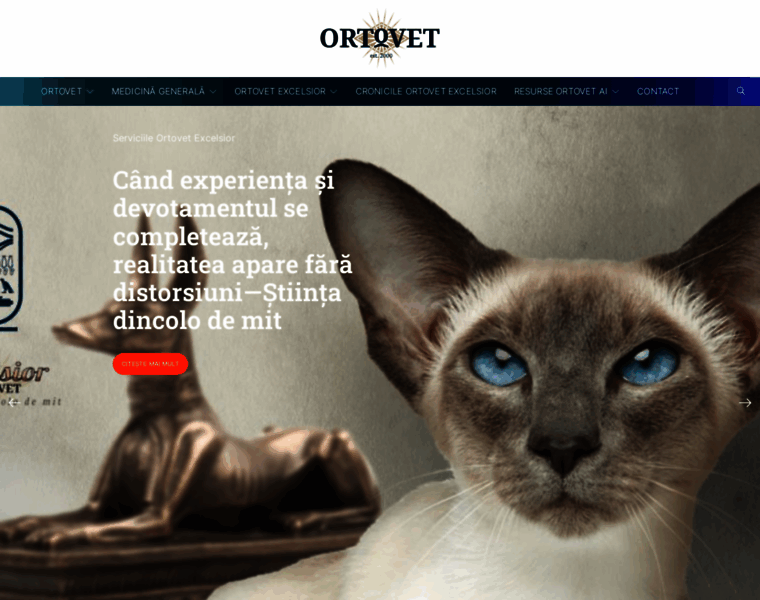 Ortovet.ro thumbnail
