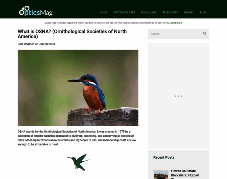 Osnabirds.org thumbnail