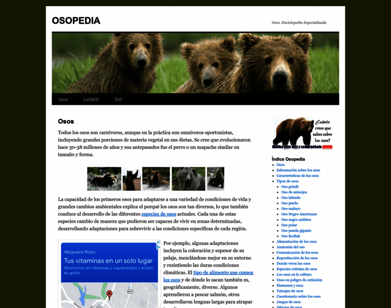 Osopedia.com thumbnail