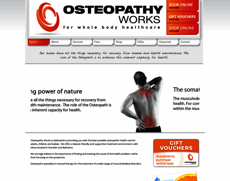 Osteopathyworks.co.nz thumbnail