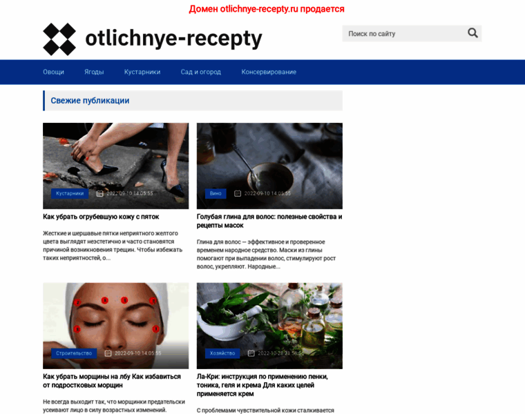 Otlichnye-recepty.ru thumbnail