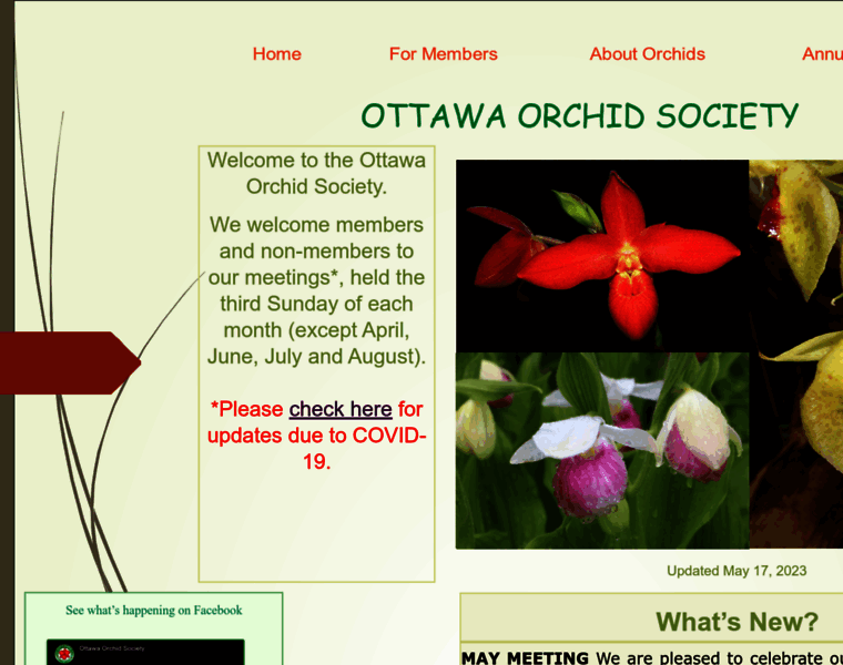 Ottawaorchidsociety.com thumbnail
