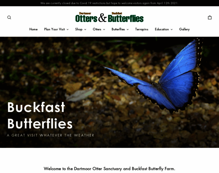 Ottersandbutterflies.co.uk thumbnail