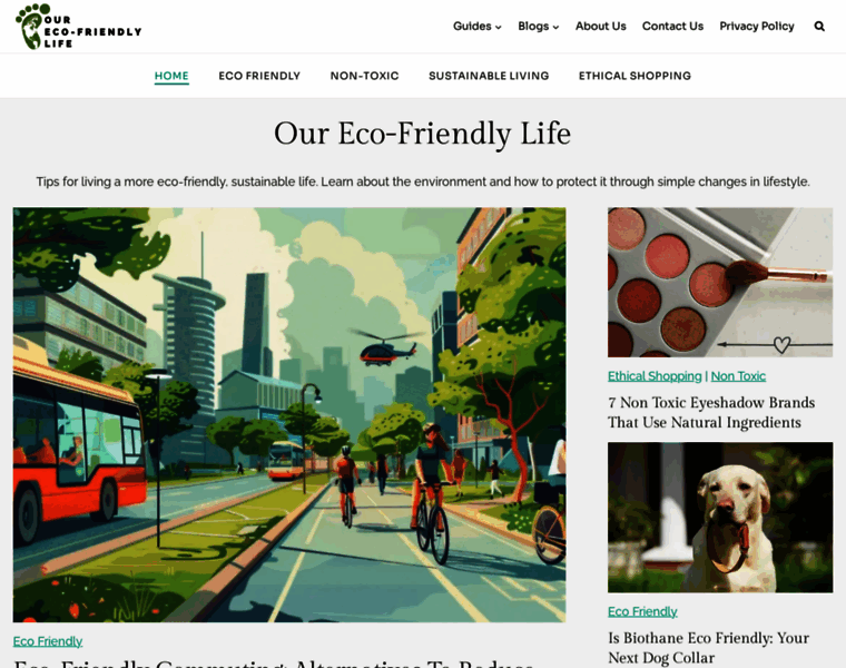 Ourecofriendlylife.com thumbnail